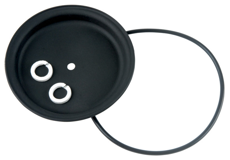 DP-20 Diaphragm & Seal Kit.
